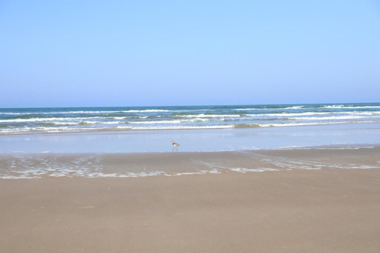 Nosso Chalé na Ilha Cananéia Exterior foto
